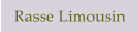 Rasse Limousin